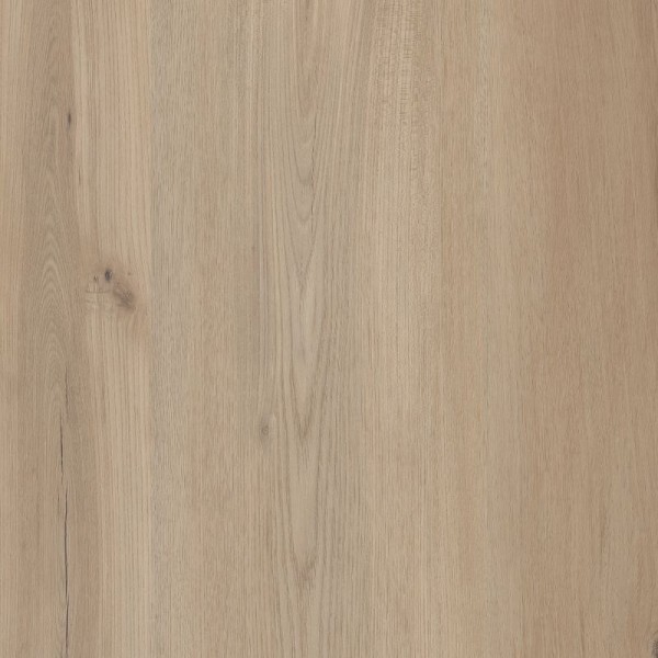 COREtec Premium with Soft Step 9 Inches Sea Salt Oak